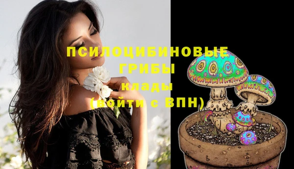 эйфоретик Абинск