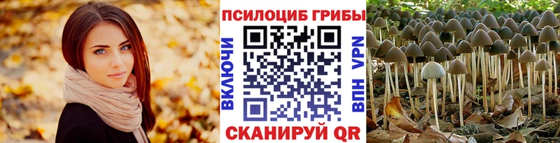Галлюциногенные грибы GOLDEN TEACHER  купить наркоту  Новоаннинский 